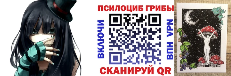 купить наркотики сайты  Северо-Курильск  Псилоцибиновые грибы мицелий 